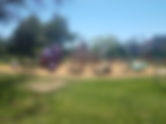 SC - Grape park in ᴇsᴄᴏɴᴅɪᴅᴏ