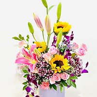 Happy-Bloom-Day--Flower-Box-navi-mumbai