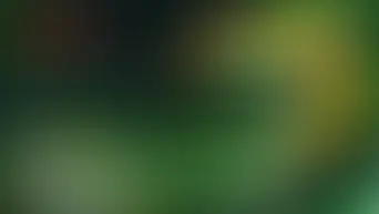 Our Planet | Forests | BBC | Netflix