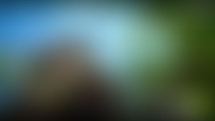 David Attenborough's Natural Curiosities (Full Episode) | BBC Select