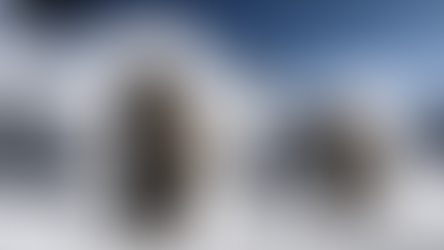 Nouveau logiciel d’OpenAI Des vidéos à couper le souffle générées par l’IA