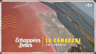 La Camargue en liberté - Échappées belles

