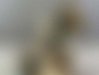 New artworks in the art shop to buy.