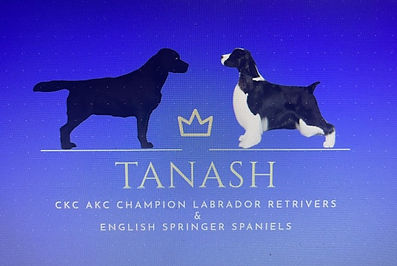 tanash site