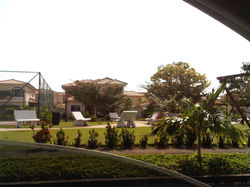 IMG00326-20110120-0935