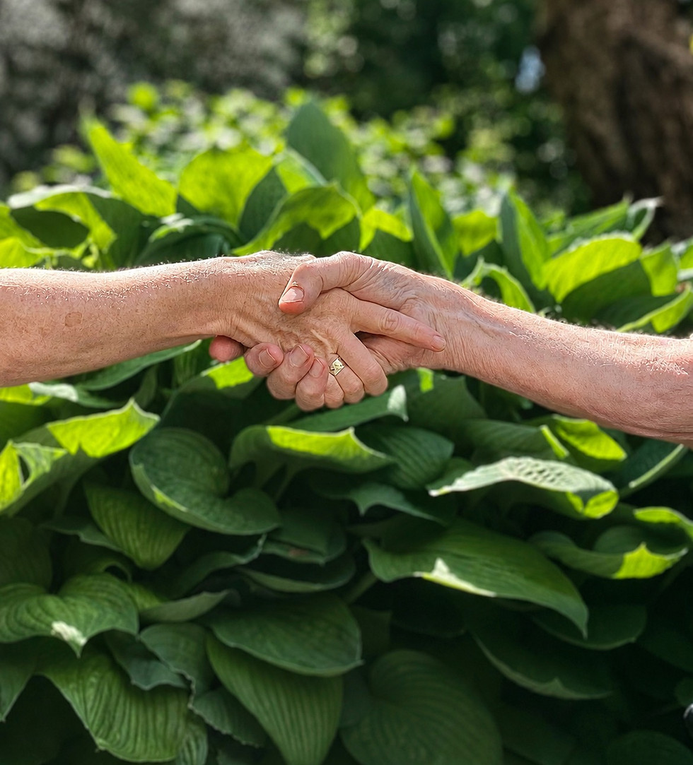 Adult holding a senior person's hand