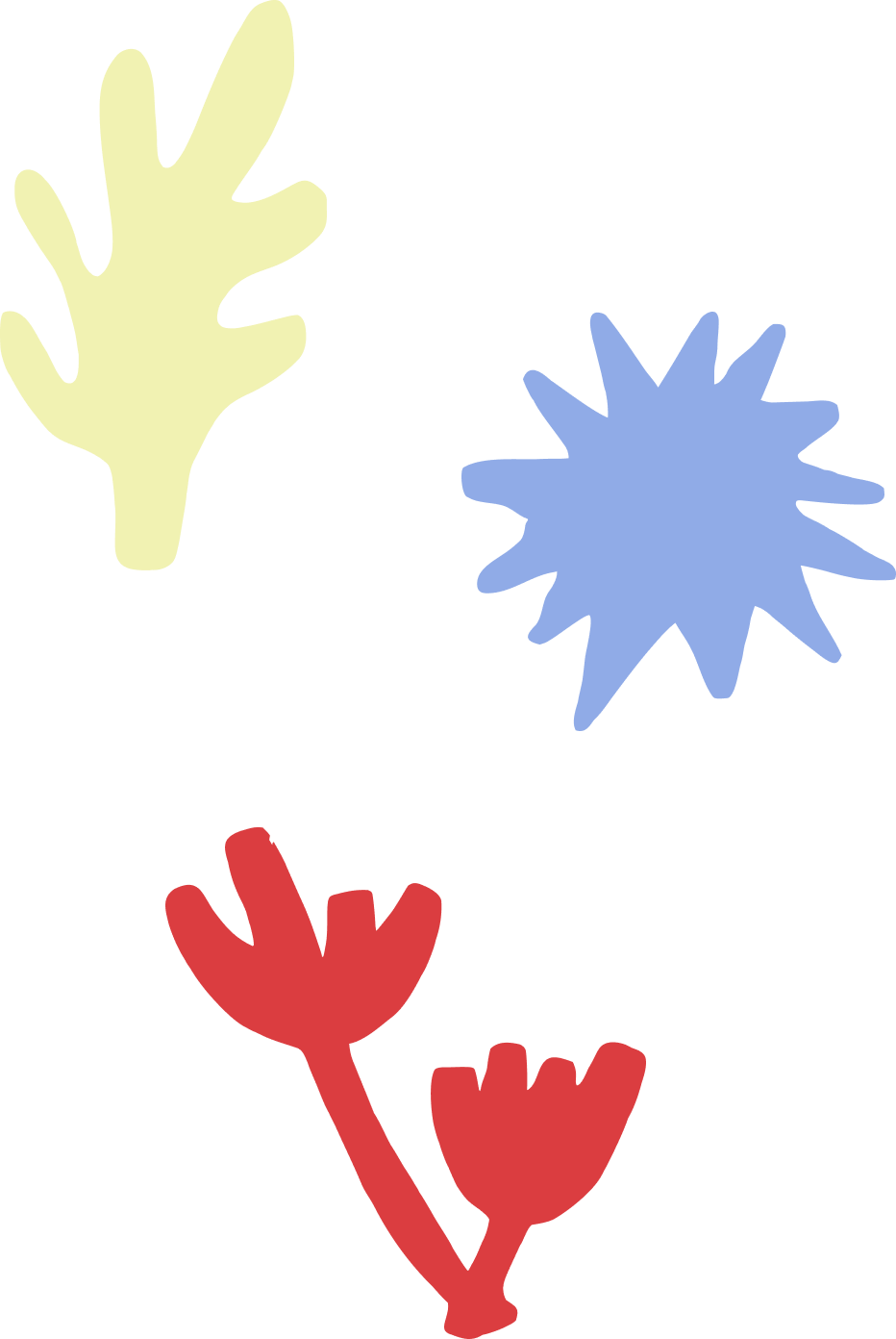 trio illustrations.png