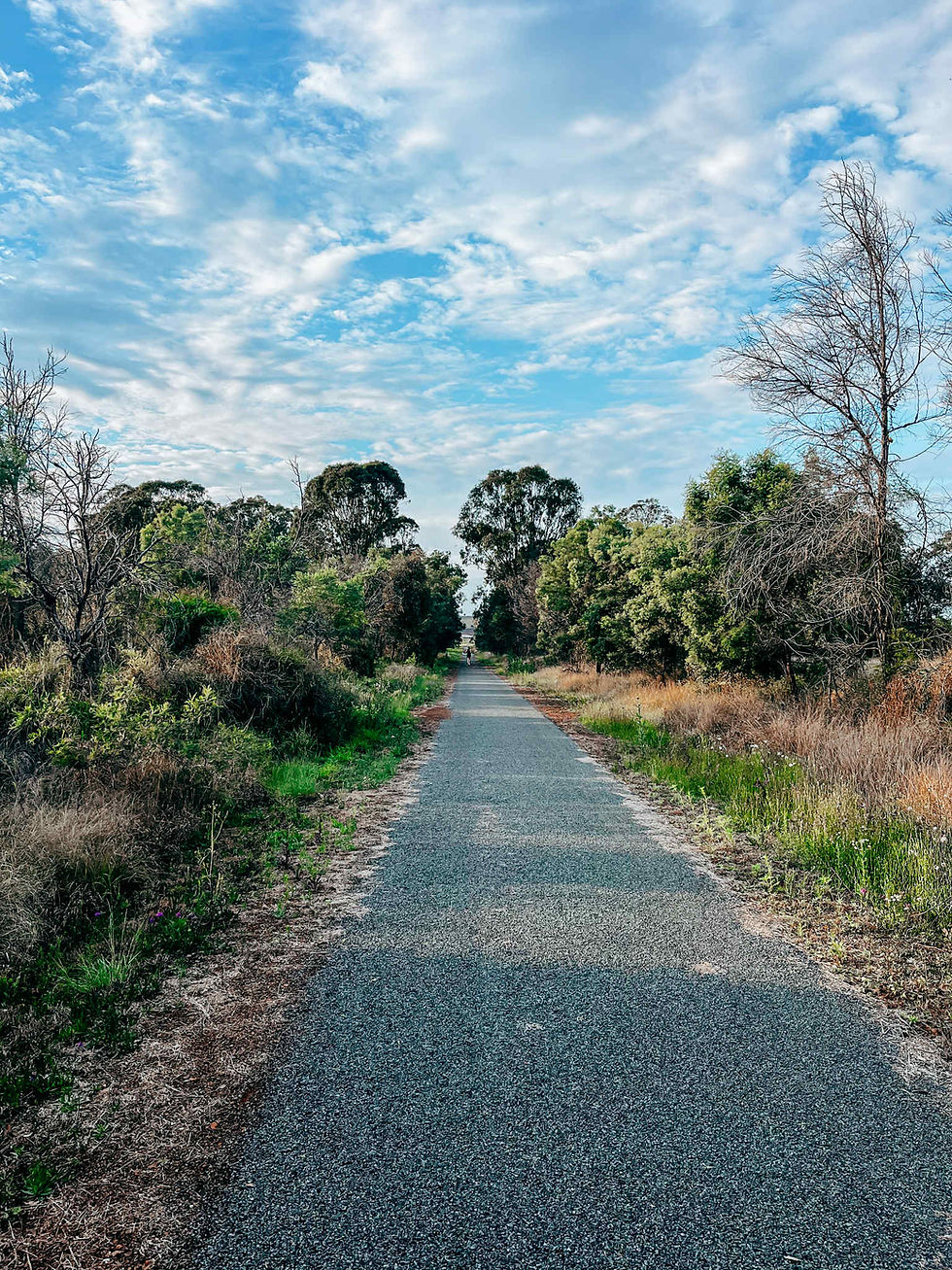 A gravel road in regional Australia, surrounded by native vegetation.