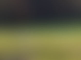 Was für ein erfüllter Sommer! 🙏