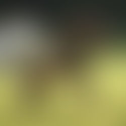 Innere Unruhe überwinden