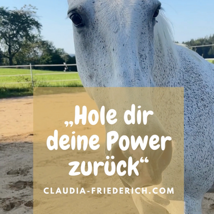Mach dein Ding, egal was die Leute sagen 🥳So geht glücklich und erfolgreich🥳