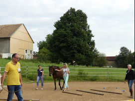 Führungskräftemangel – Mitarbeiterbindung durch Teambuilding mit Pferden
