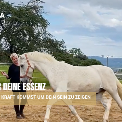 Wie du in deine Kraft kommst, um dein Sein zu zeigen