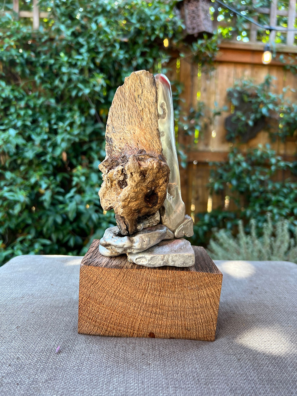 Thumbnail: "Vertebrae of Growth" Urban Core Samples Series.