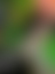 Shōtaro Aoyoma "WORKS"