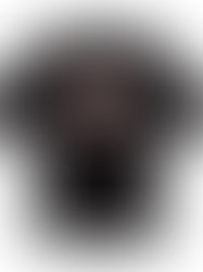 FUTUR "HW Mountain Trip G Fit Tee / Black"