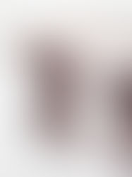 一寸一杯 Yanagiya "Cary"