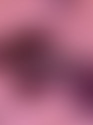 DOGADOGA<7 inch vinyl single>「PYG / 夏の支度」