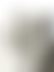 STABILIZER GNZ "lot.3-04 Breton Sweatshirt"