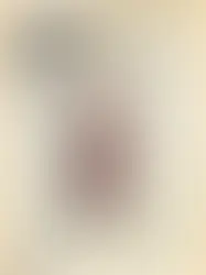 Shōtaro Aoyoma "WORKS"