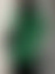 STABILIZER GNZ for DOUBLE OO '96 "lot.8-51CC lined chore coat | electric green"