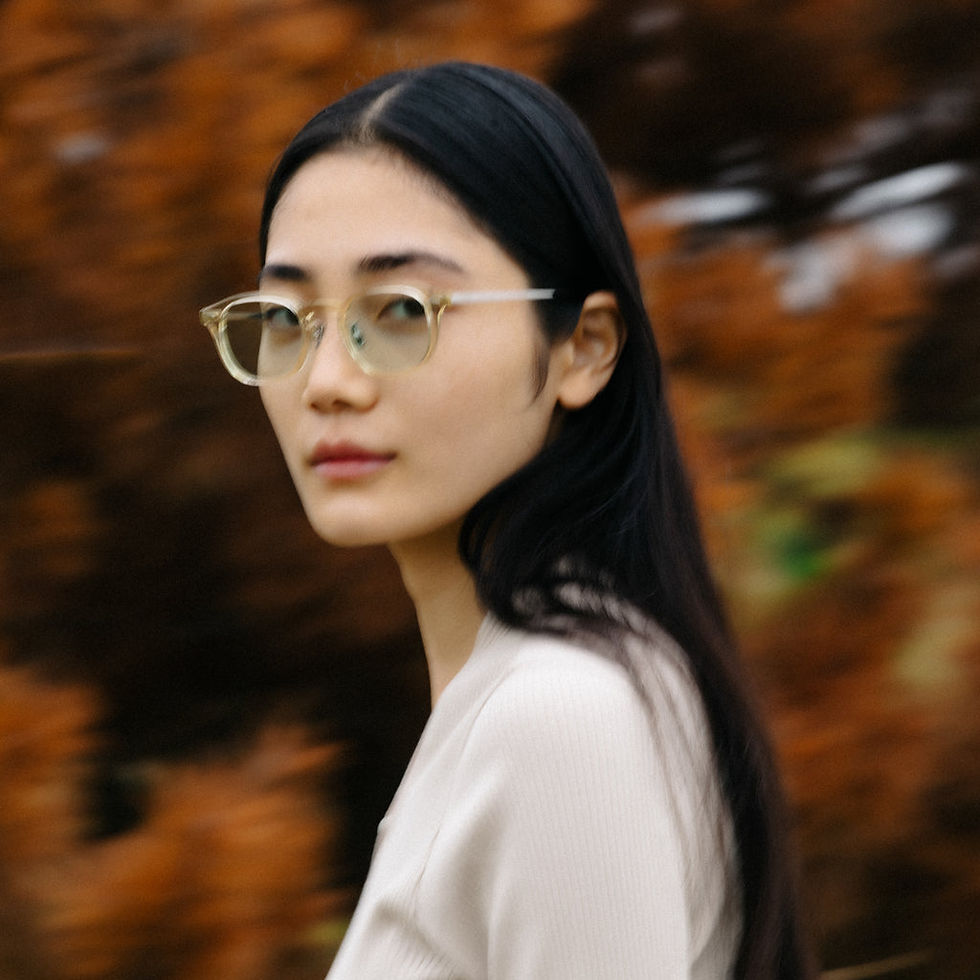 NOCHINO OPTICAL "JIFUSAN"