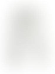 STABILIZER GNZ "Lot.0-09 Selvedge Wide Straight"