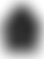 WILD THINGS "MONSTER PARKA 22"