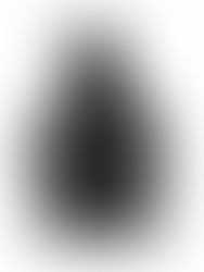 EVENT | Stone Workshop -番外編-