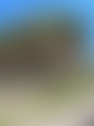 EVENT | Stone Workshop