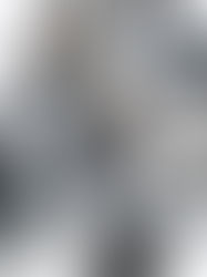 Blundstone "NEW ARRIVALS!!"