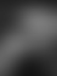 高木由利子 写真展 chaoscosmos vol.2 - sakura -カオスコスモス 弐 - 桜 -