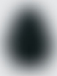 WILD THINGS "PERTEX LIGHT MONSTER PERKA"