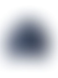 STABILIZER GNZ lot.8-22V stand collar jacket