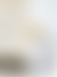 COMESANDGOES 2022 spring&summer collection