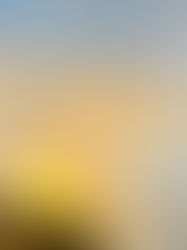 COMESANDGOES 2021 autumn&winter collection