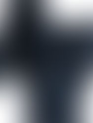 STABILIZER GNZ "2020年製"