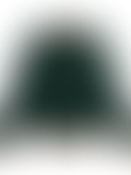 FUTUR "Logo Crew / Scarab"