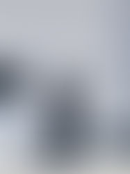 STABILIZER GNZ set-up