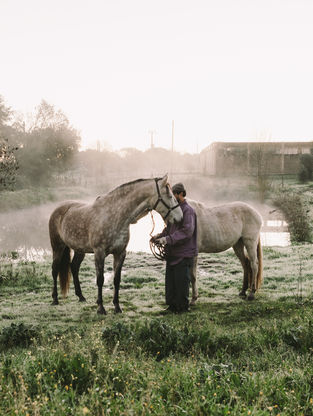 amachi. Collection 000 - 4th Edition