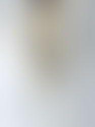 amachi. Collection 000 "Meeting Jacket - FO"