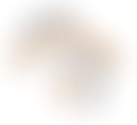 Torna Modena Champagne Experience il più grande evento italiano dedicato alle bollicine francesi.