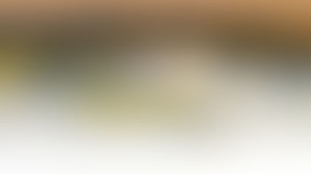 A Villa Miani "Roero Days" - Roma ospiterà per la prima volta il prestigioso evento.