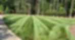 340751859_1440811973386625_5257806108419834286_n.jpg