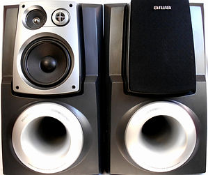 AIWA SX-WZR99 Speakers_edited_edited.jpg