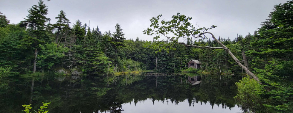 The Cabin at Mot Greylock