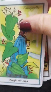 Miniatura: HERBAL tarot ( guía PDF en español)