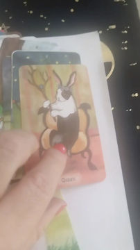 Miniatura: THE RABBIT tarot 