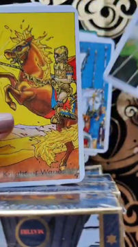 Miniatura: ROBIN WOOD tarot 