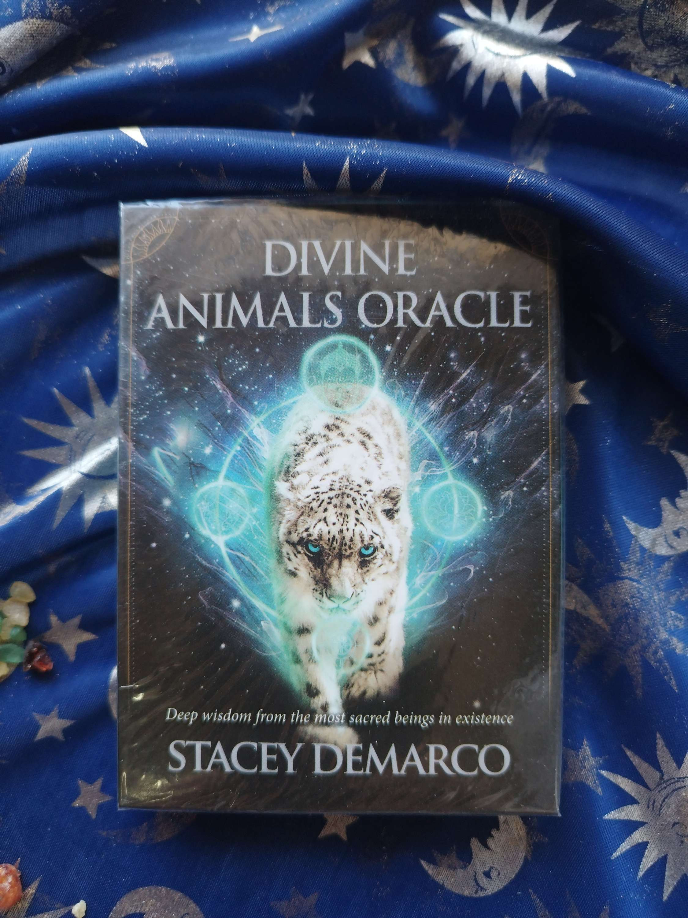 DIVINE ANIMALS oraculo ( guía QR español)